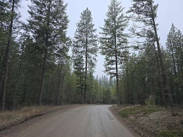 144 Acres of Recreational Land for Sale in Newport, Washington