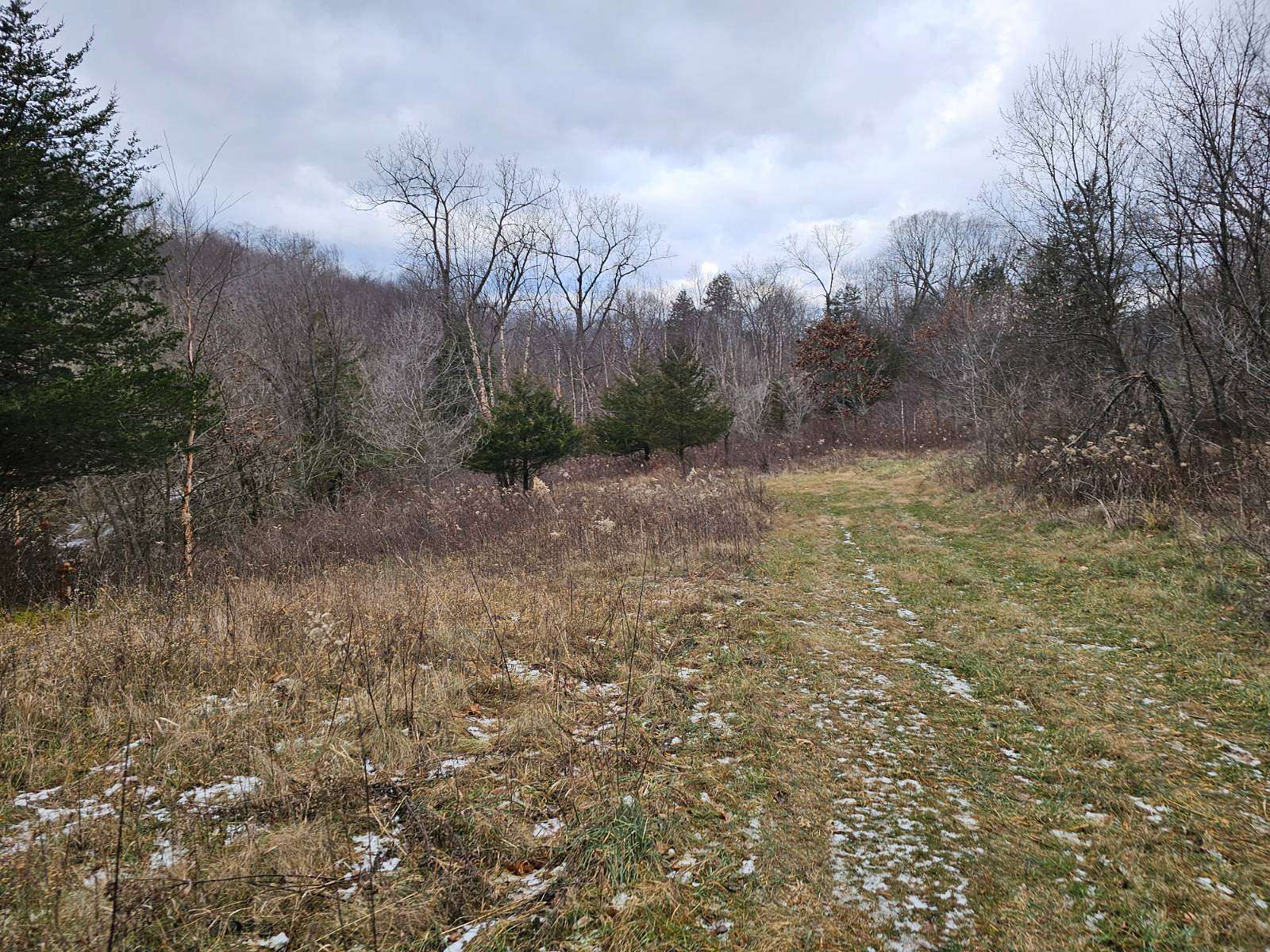 80 Acres of Recreational Land for Sale in Bergen Town, Wisconsin