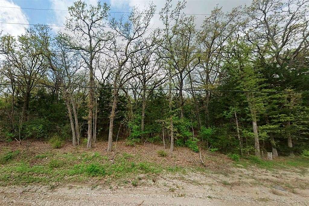 1.306 Acres of Land for Sale in Quinlan, Texas