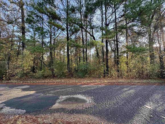 1.357 Acres of Residential Land for Sale in Marshall, Texas