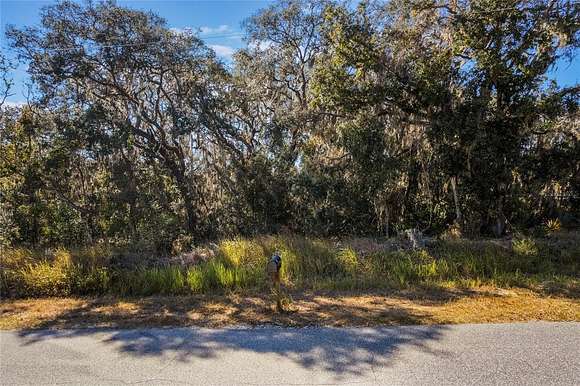 0.31 Acres of Residential Land for Sale in Ocala, Florida