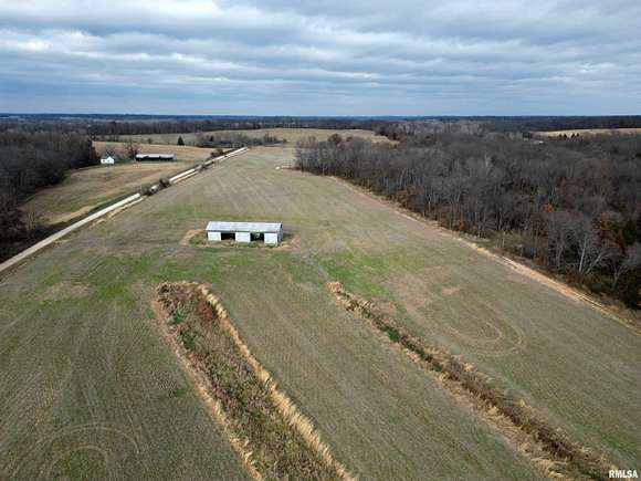 54.5 Acres of Recreational Land & Farm for Sale in London Mills, Illinois