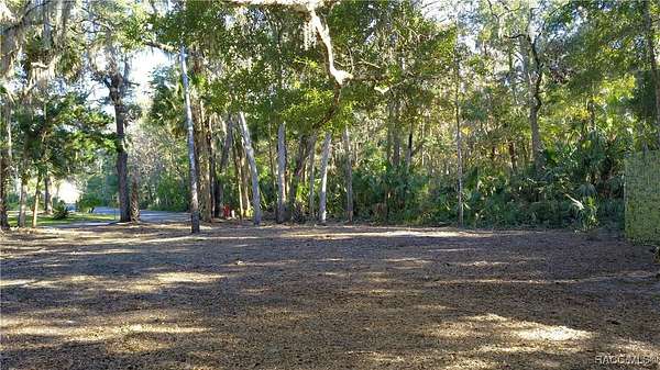 0.34 Acres of Residential Land for Sale in Homosassa, Florida