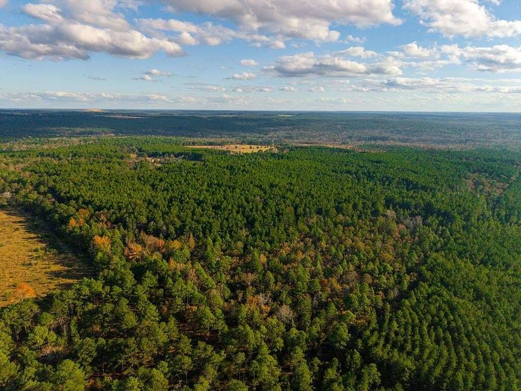 84.18 Acres of Recreational Land for Sale in Mauk, Georgia