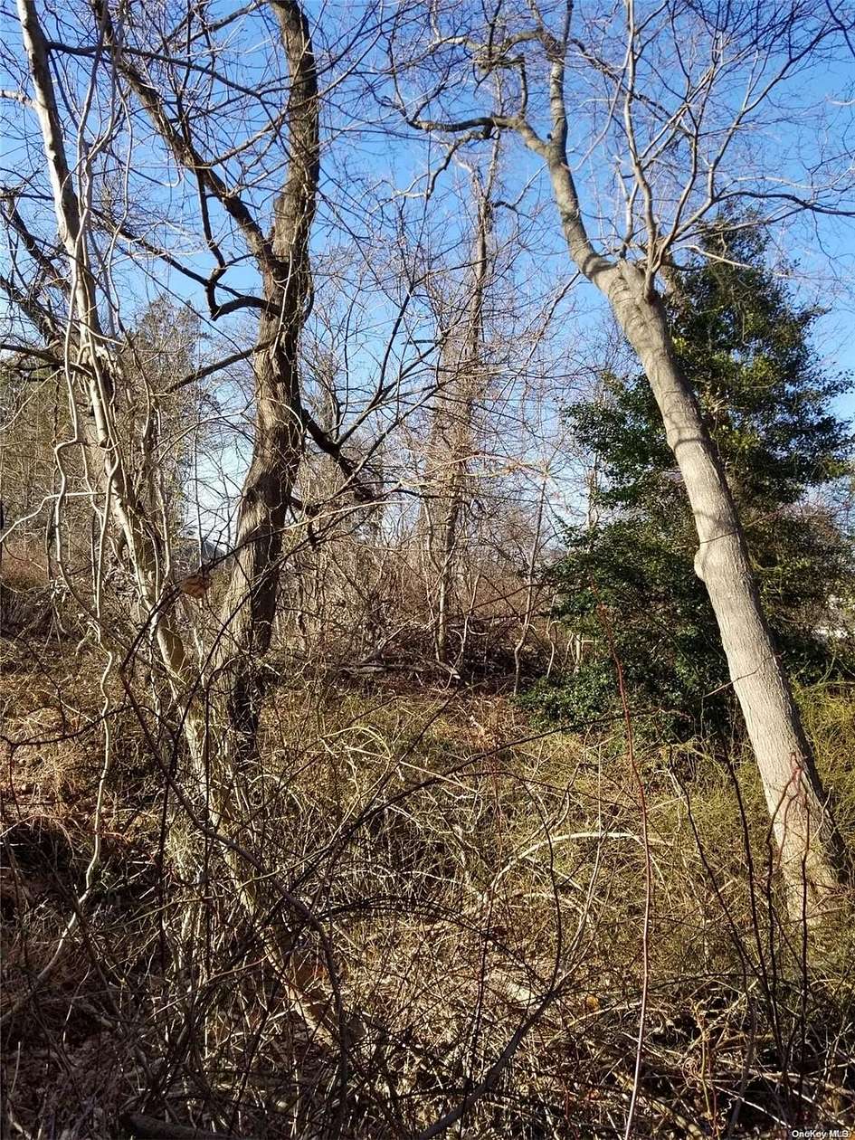 0.5 Acres of Residential Land for Sale in Brookhaven, New York