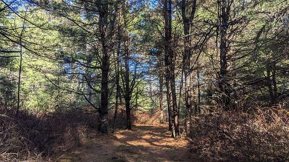 30 Acres of Recreational Land for Sale in Forestburgh Town, New York