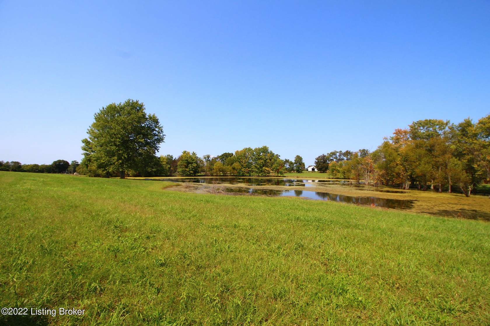 33.54 Acres of Agricultural Land for Sale in Shelbyville, Kentucky