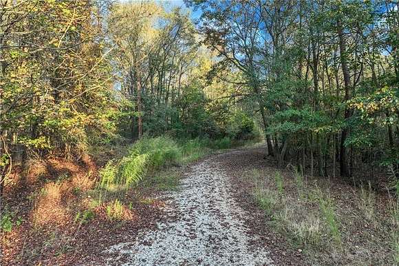 28.28 Acres of Land for Sale in Gillsville, Georgia