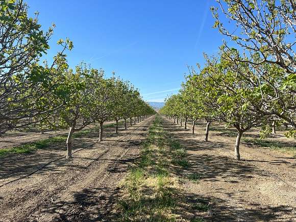 789.43 Acres of Agricultural Land for Sale in Coalinga, California