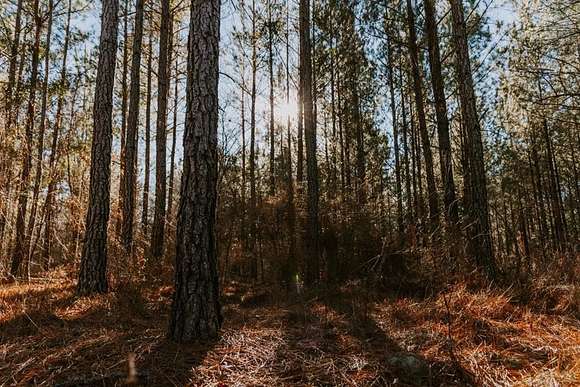 27 Acres of Recreational Land for Sale in Dublin, Georgia