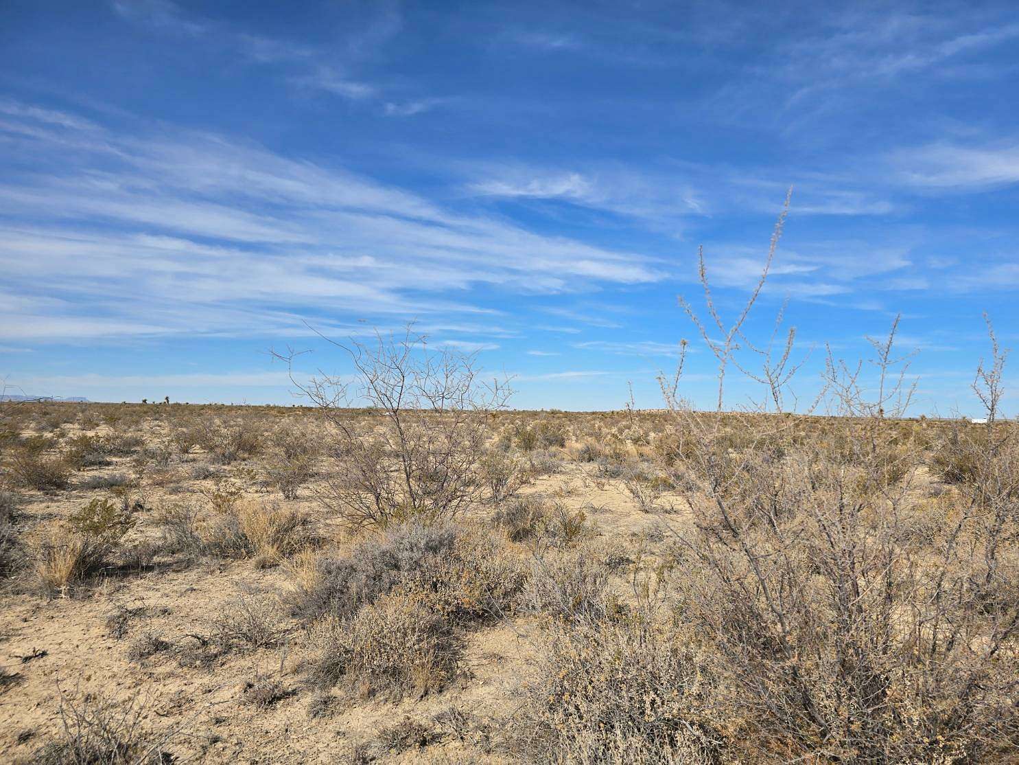 10 Acres of Land for Sale in Alpine, Texas