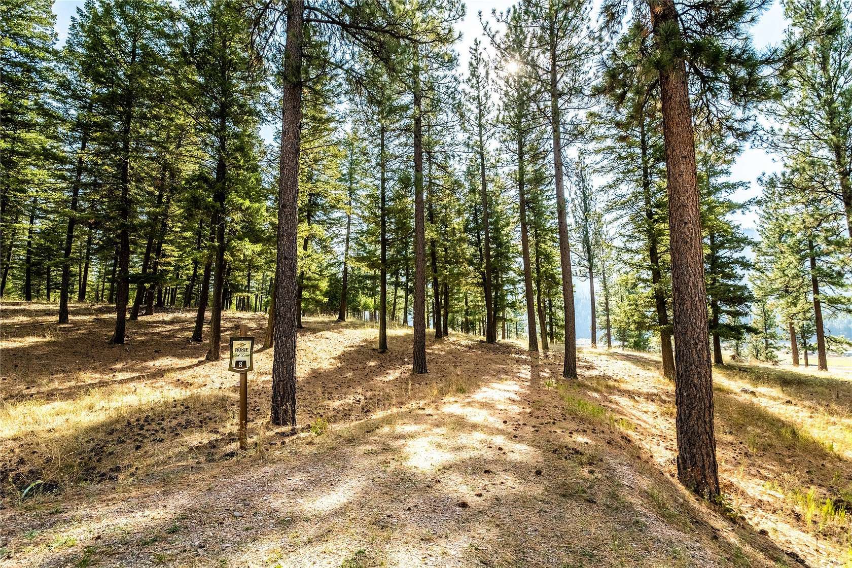 1 Acre of Residential Land for Sale in Clinton, Montana