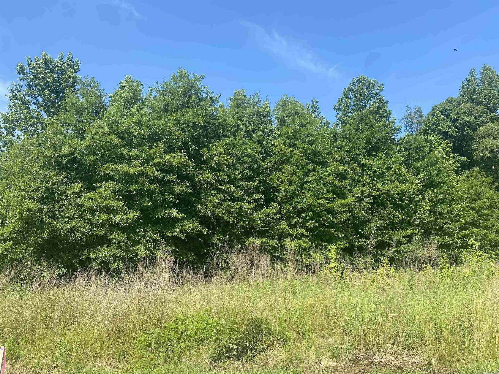 3 Acres of Residential Land for Sale in Austin, Arkansas