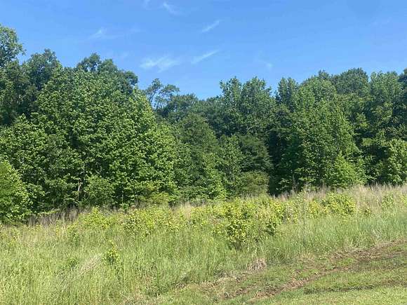 3 Acres of Residential Land for Sale in Austin, Arkansas