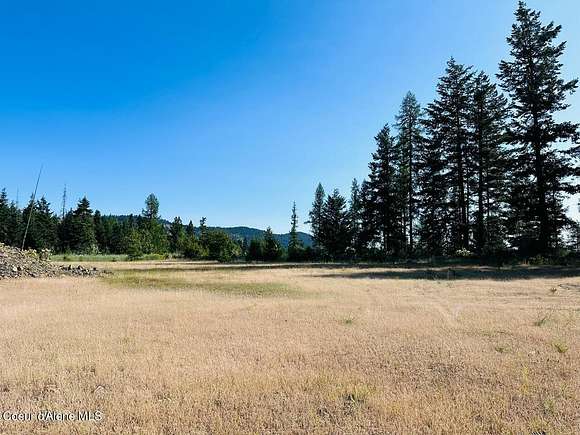 6.31 Acres of Mixed-Use Land for Sale in Plummer, Idaho