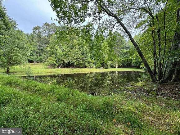 32.49 Acres of Recreational Land for Sale in Orange, Virginia