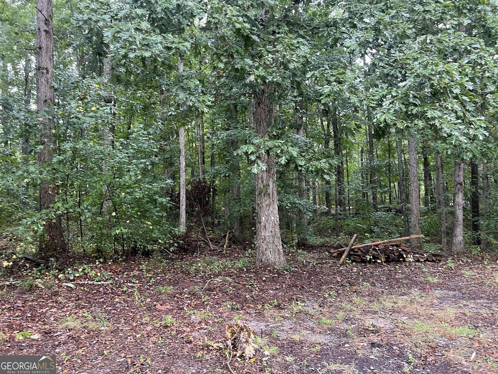 7.7 Acres of Residential Land for Sale in Stockbridge, Georgia