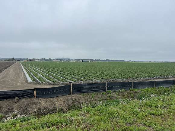 184.57 Acres of Agricultural Land for Sale in Watsonville, California