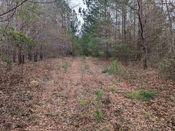 5 Acres of Residential Land for Sale in Greensboro, Georgia