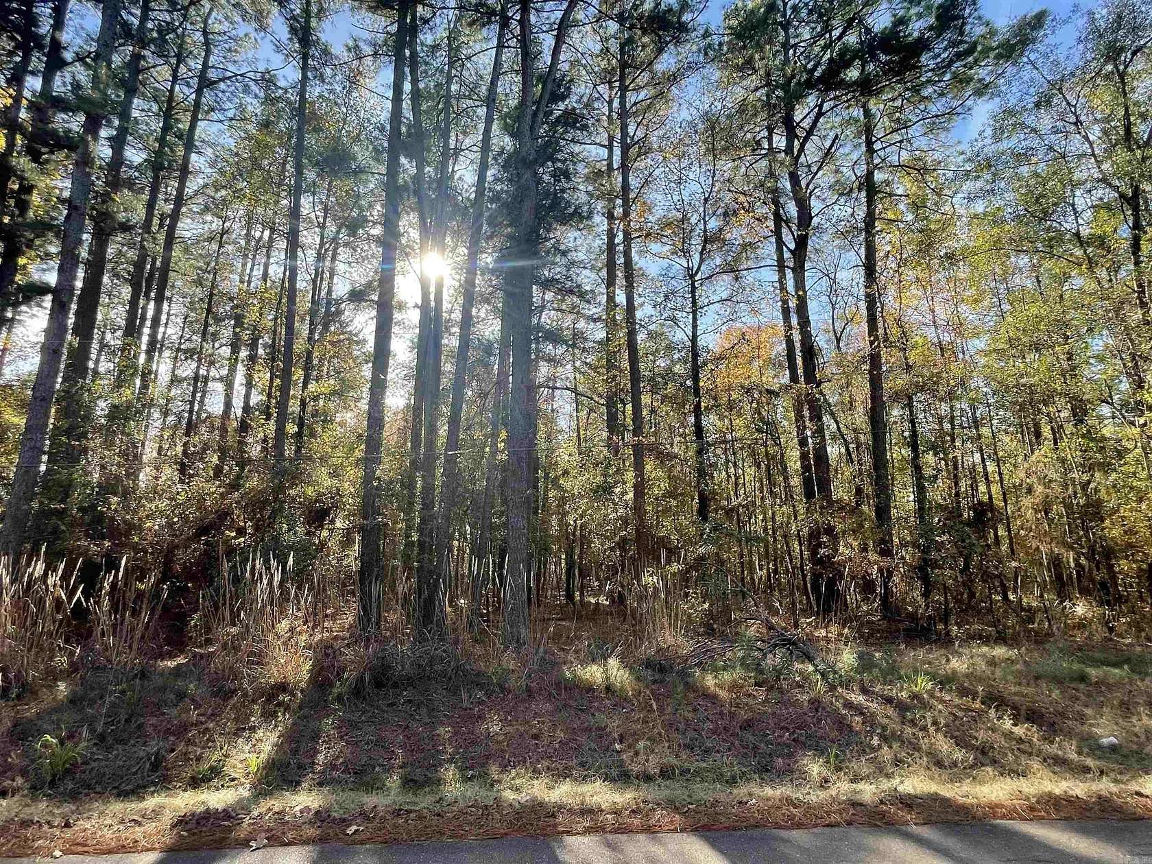 24.91 Acres of Land for Sale in Thornton, Arkansas