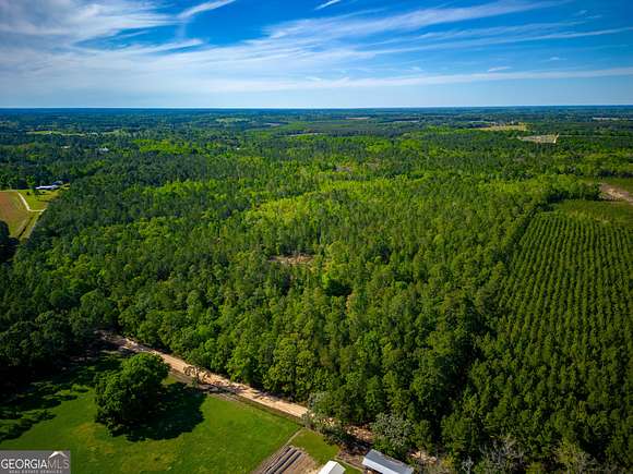 191 Acres of Land for Sale in Jesup, Georgia