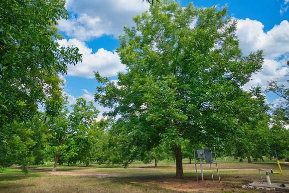 358.21 Acres of Agricultural Land for Sale in Albany, Georgia