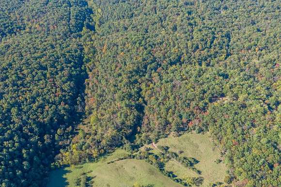 27.1 Acres of Recreational Land for Auction in Mount Jackson, Virginia