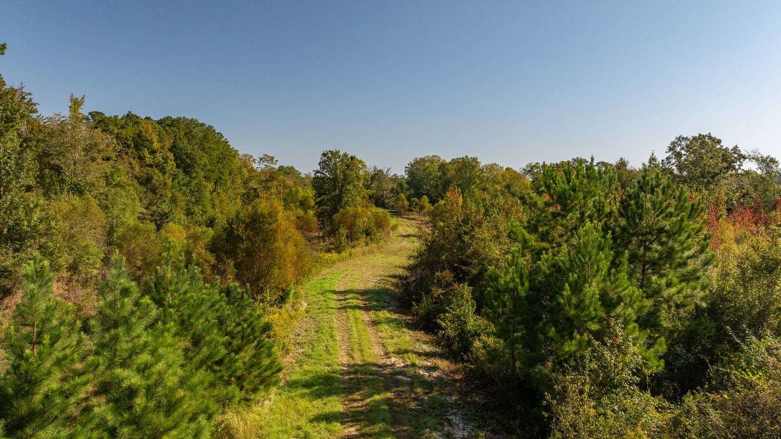 191 Acres of Recreational Land & Farm for Auction in Eastman, Georgia