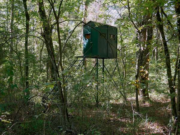 25.5 Acres of Recreational Land for Sale in Athens, Texas