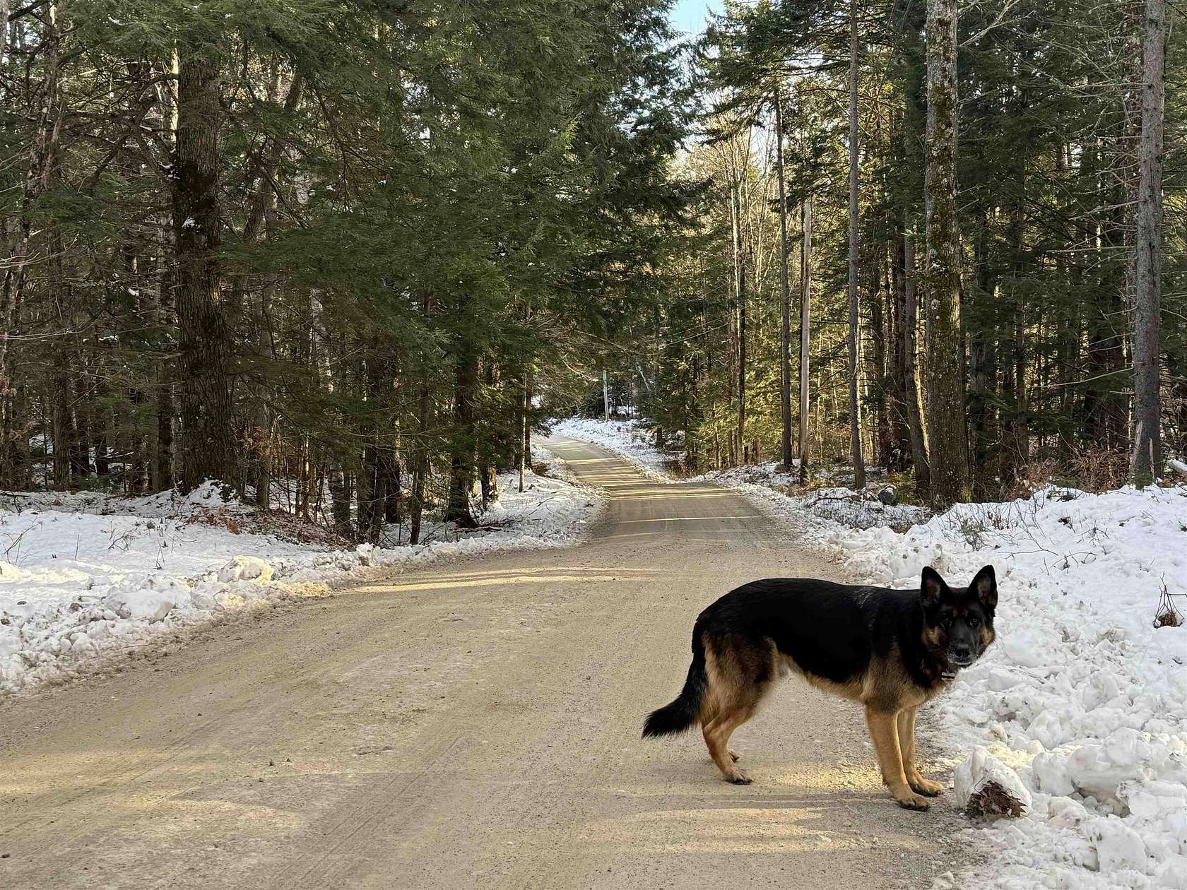 9.68 Acres of Land for Sale in Sandwich, New Hampshire