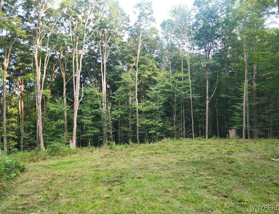 1.5 Acres of Residential Land for Sale in Mansfield Town, New York