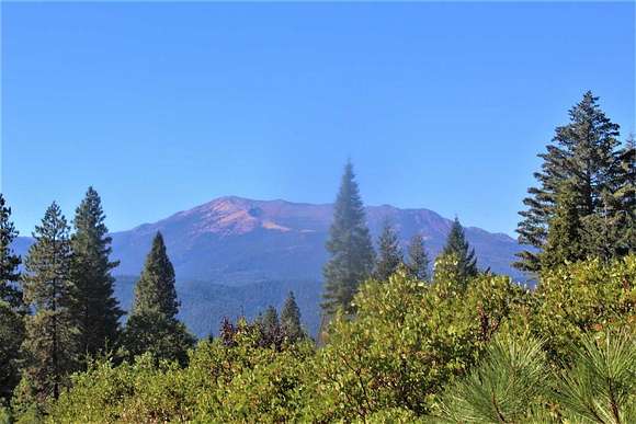 2.6 Acres of Residential Land for Sale in Mount Shasta, California