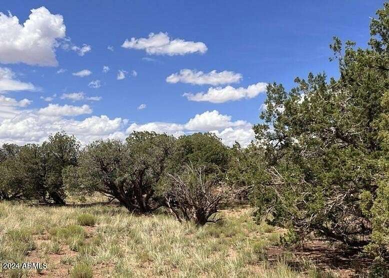 2.36 Acres of Residential Land for Sale in Snowflake, Arizona