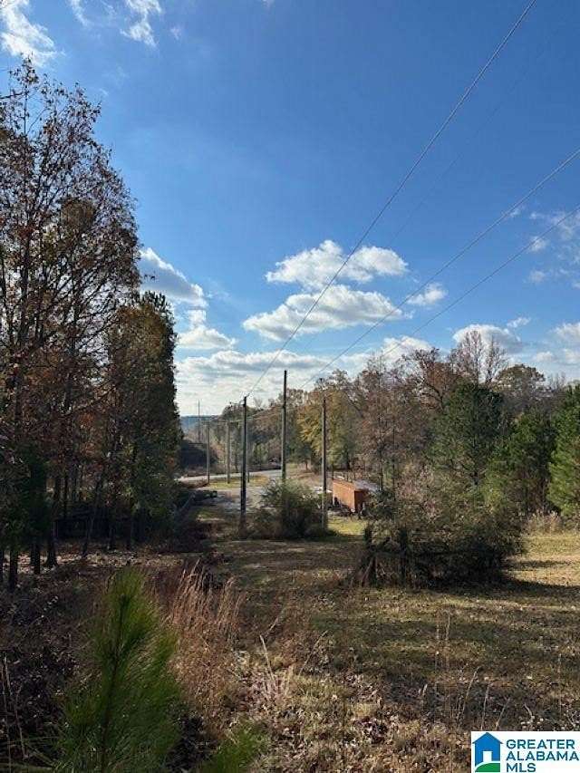 0.52 Acres of Residential Land for Sale in Chelsea, Alabama