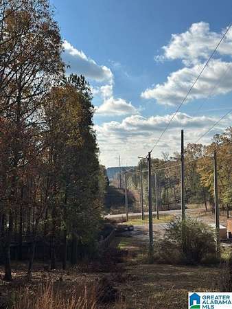 0.52 Acres of Residential Land for Sale in Chelsea, Alabama