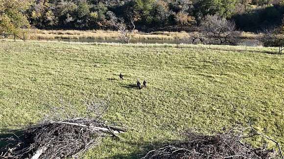 6 Acres of Agricultural Land for Sale in Mineral Wells, Texas