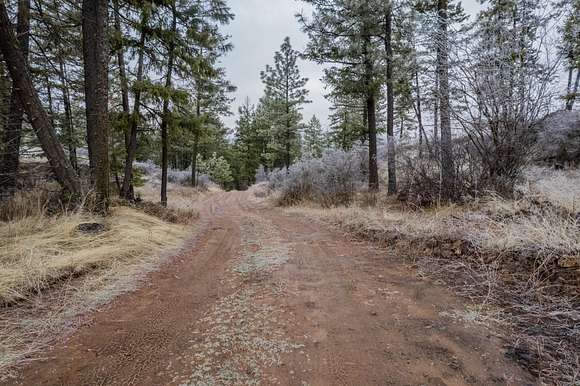 40 Acres of Recreational Land for Sale in Nine Mile Falls, Washington