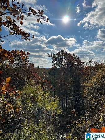 0.76 Acres of Land for Sale in Chelsea, Alabama