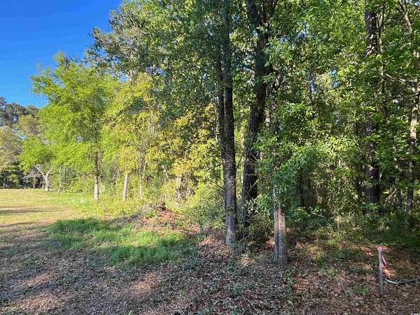 2 Acres of Residential Land for Sale in Pawleys Island, South Carolina