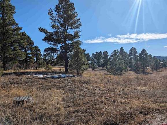 0.319 Acres of Mixed-Use Land for Sale in Pagosa Springs, Colorado