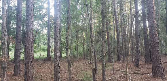 1.25 Acres of Residential Land for Sale in McComb, Mississippi