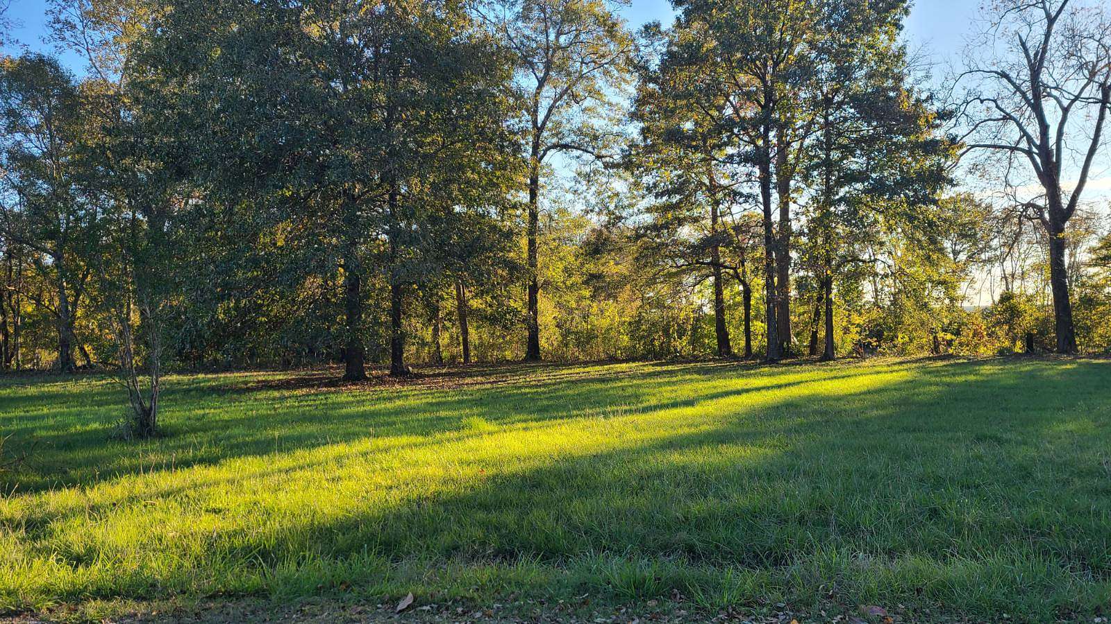 0.5 Acres of Residential Land for Sale in Gilbert, Louisiana