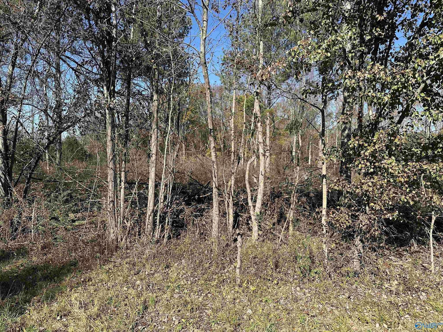 5.4 Acres of Land for Sale in Tanner, Alabama