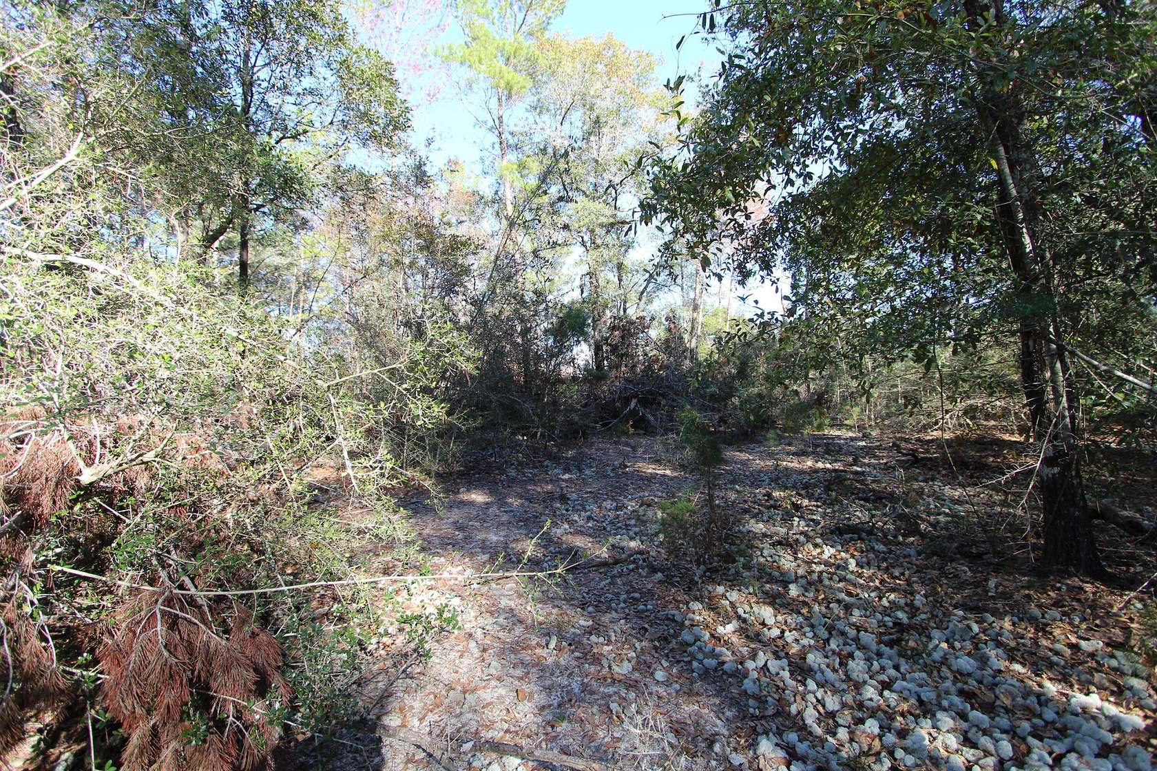 8 Acres of Land for Sale in Crestview, Florida