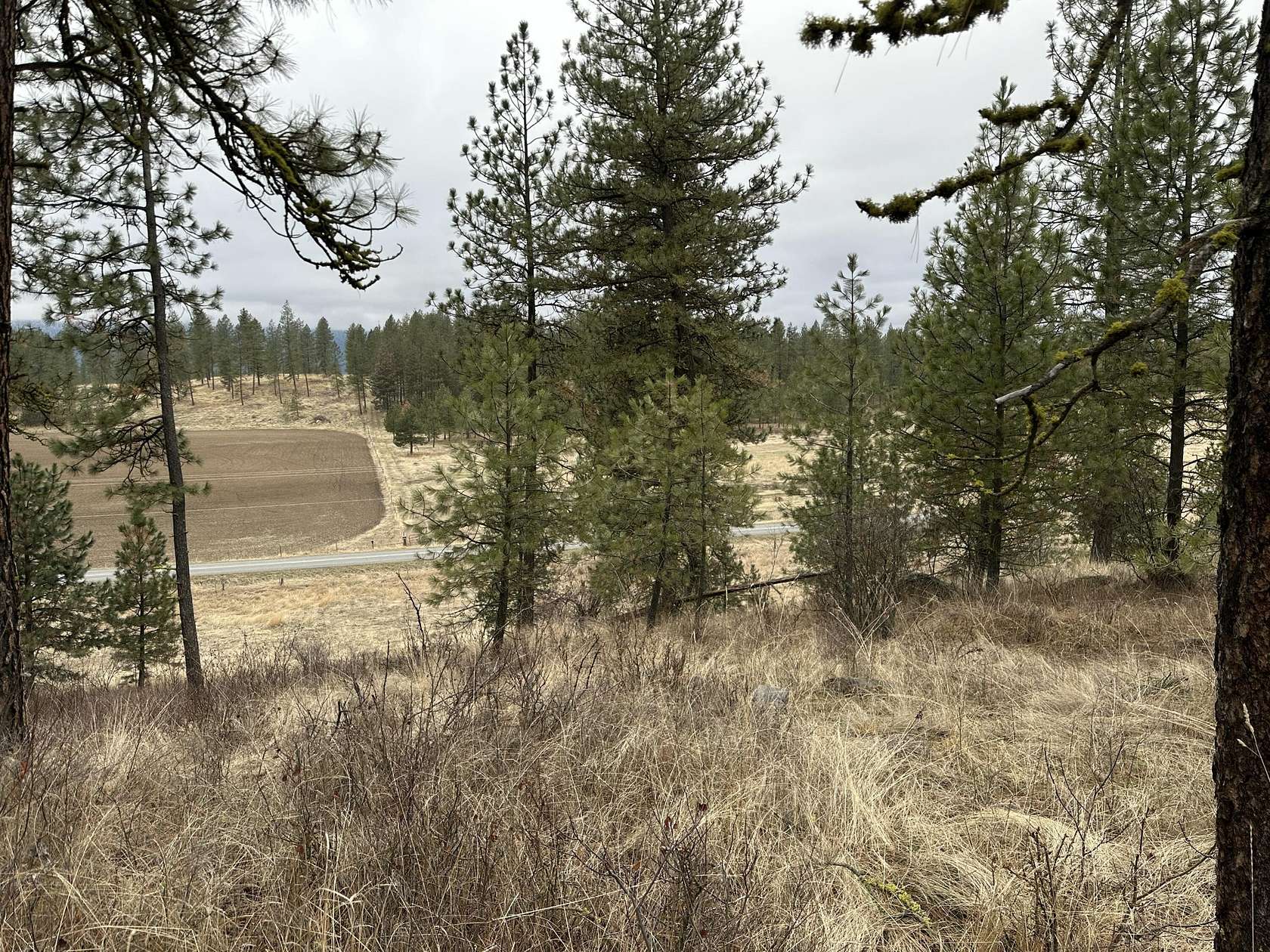 23.62 Acres of Recreational Land for Sale in Rice, Washington