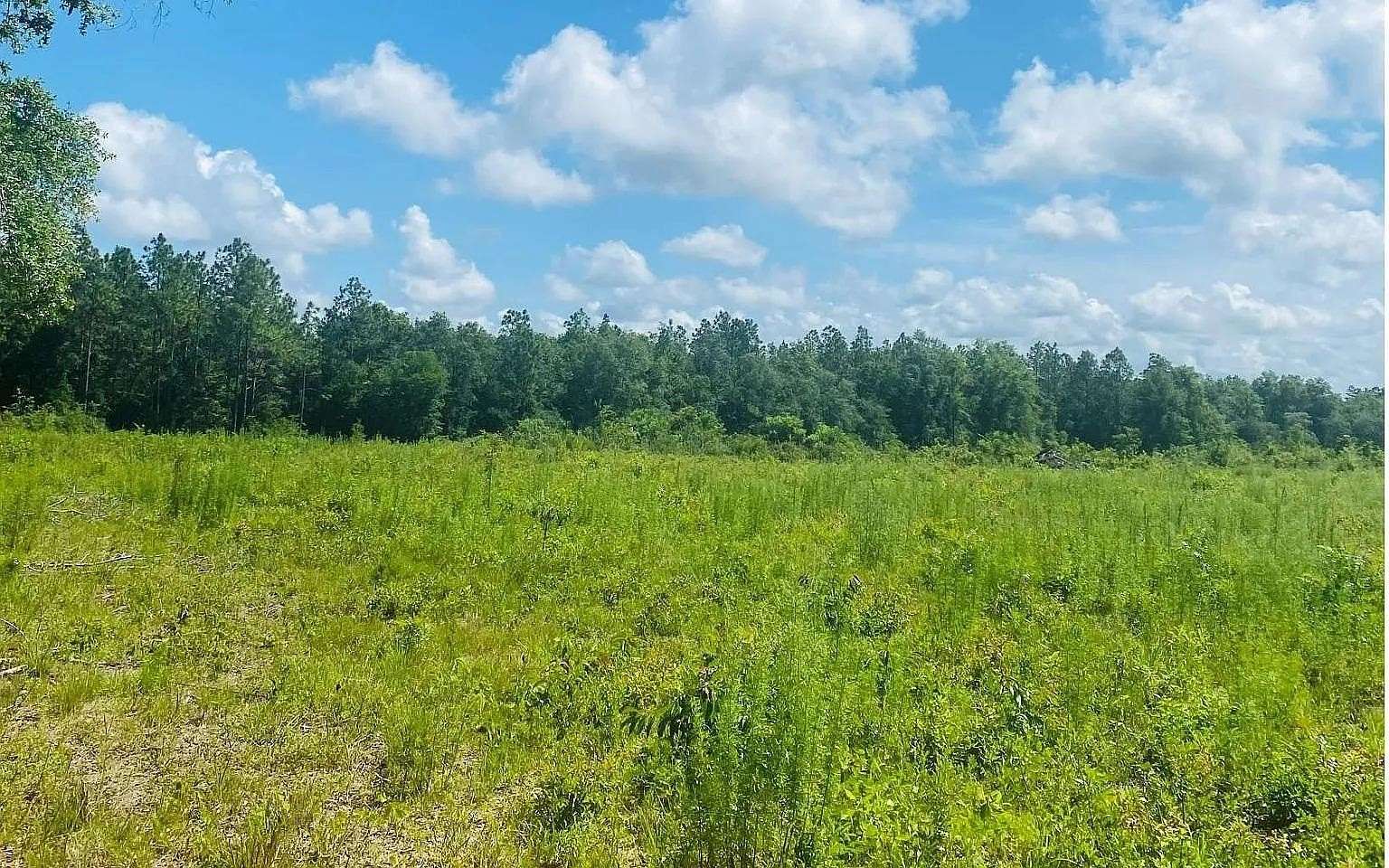 10 Acres of Residential Land for Sale in Lee, Florida