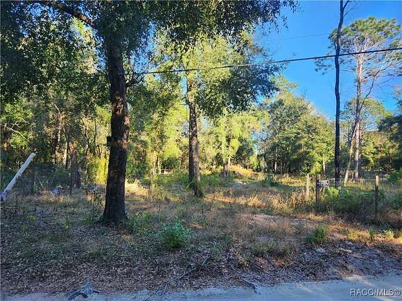 0.38 Acres of Residential Land for Sale in Dunnellon, Florida