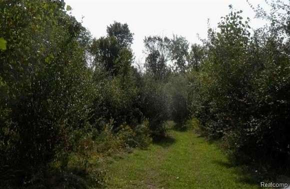 13.84 Acres of Land for Sale in Elba, Michigan