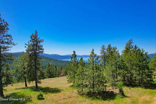 9.24 Acres of Residential Land for Sale in Harrison, Idaho