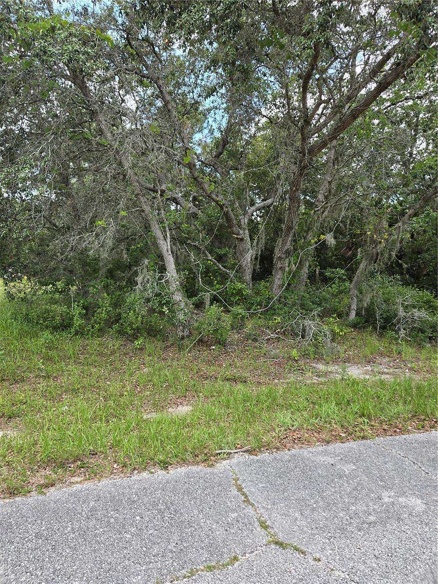 0.29 Acres of Land for Sale in Poinciana, Florida